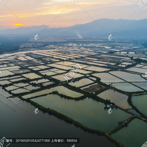 養(yǎng)殖場(chǎng)