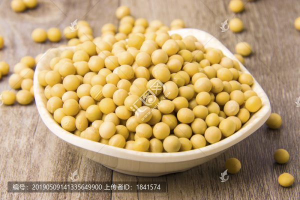 黃豆