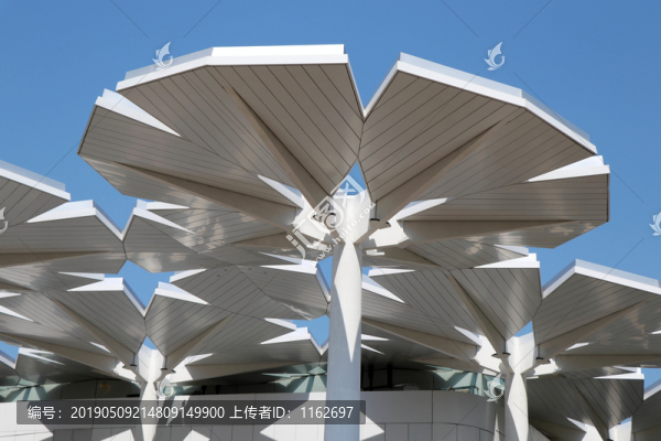 國際館屋頂建筑