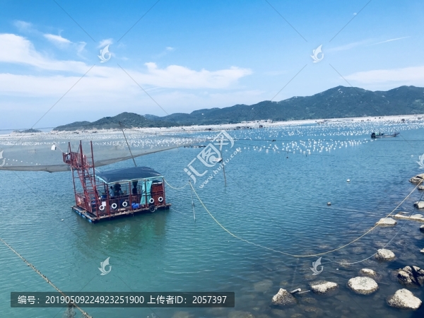 唯美海背景