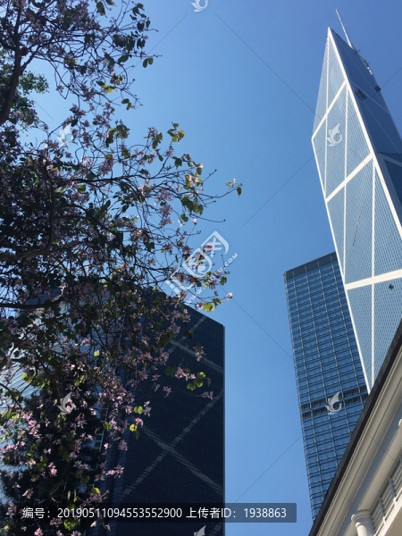 香港市貌