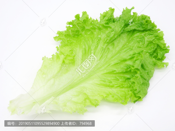 生菜