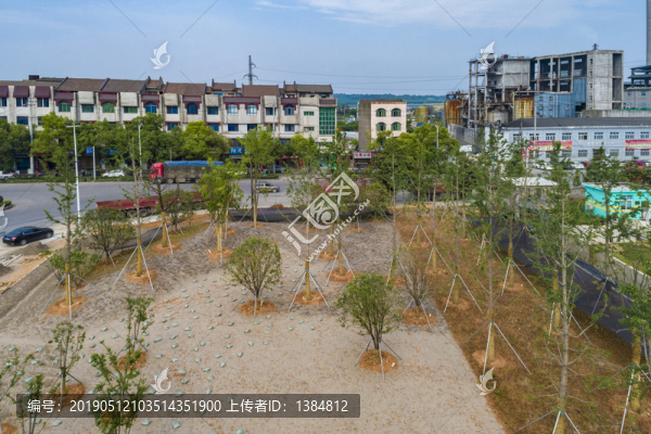 城市綠化建設(shè)