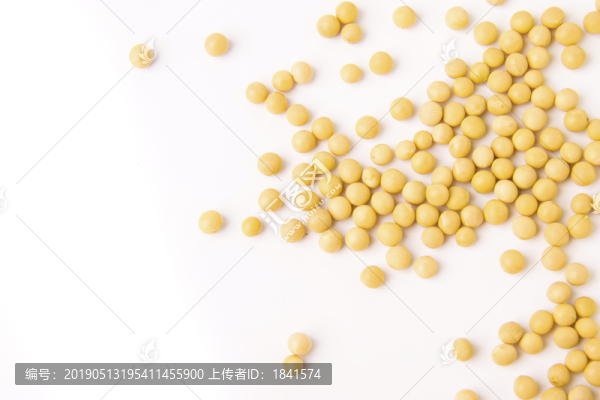 黃豆