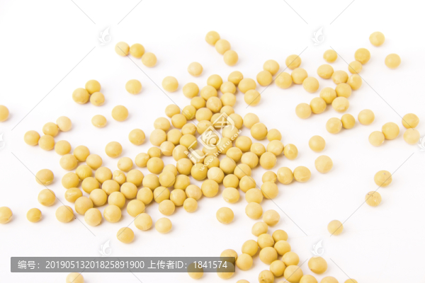 黃豆
