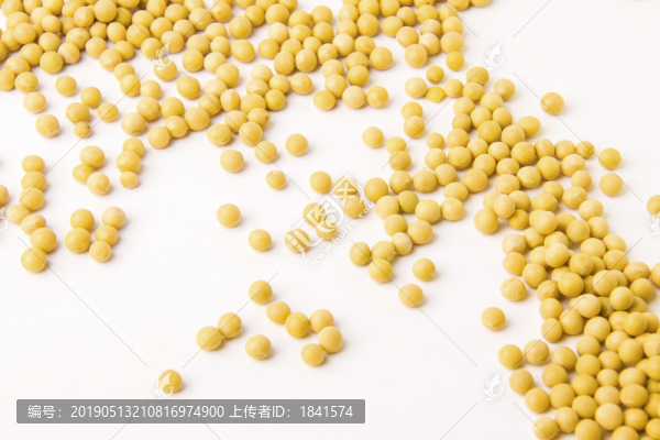 黃豆