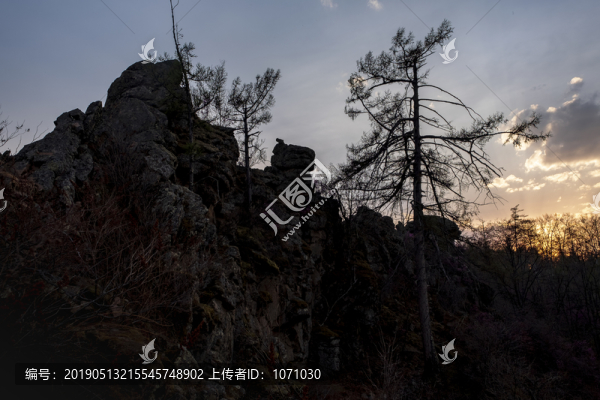 飛龍山迎客松