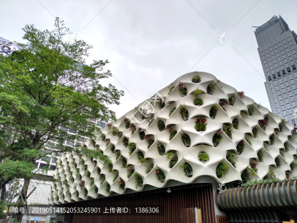 綠植建筑
