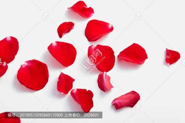灑落的花瓣