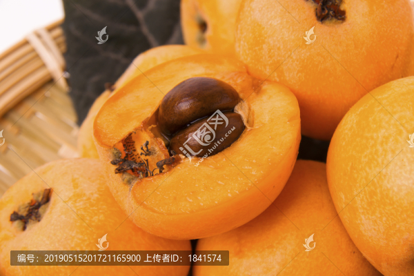 枇杷