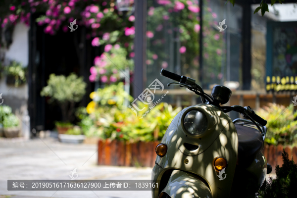 開(kāi)滿薔薇的門(mén)前的摩托車(chē)