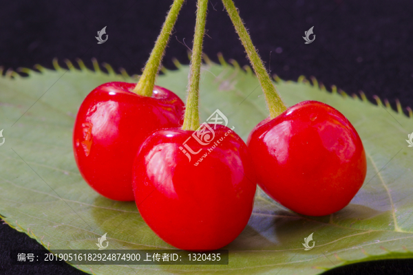 櫻桃