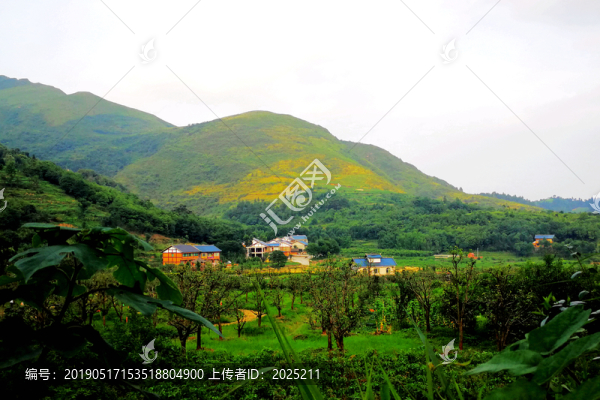 茍壩風(fēng)光
