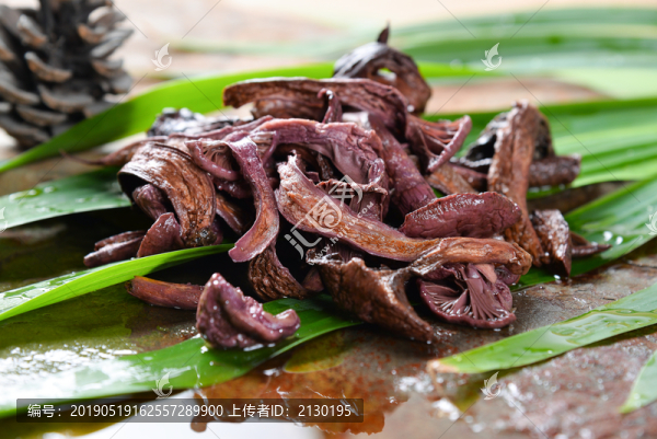 野生肉蘑