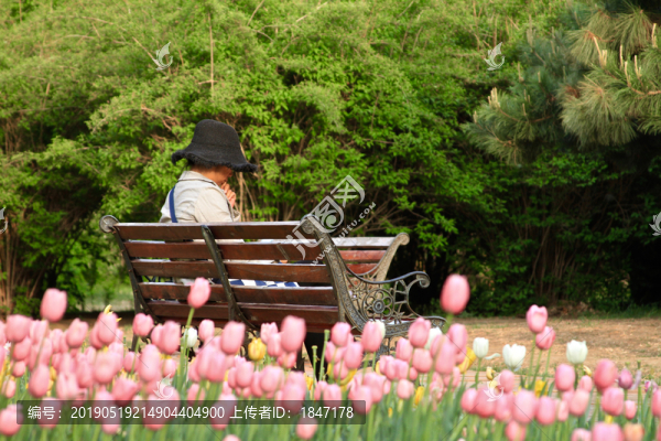 公園一角