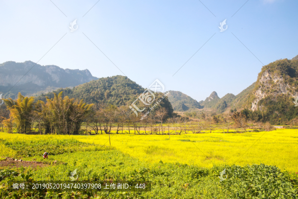 田園風光