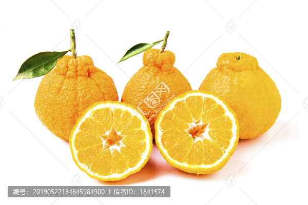 粑粑柑