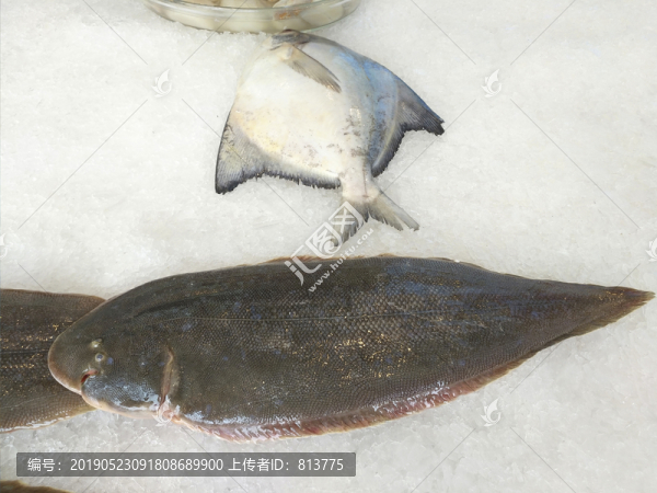 冰凍海魚(yú)