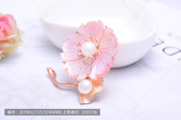 貝殼胸針
