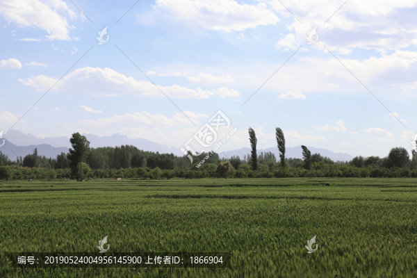 美麗的鄉(xiāng)村田野