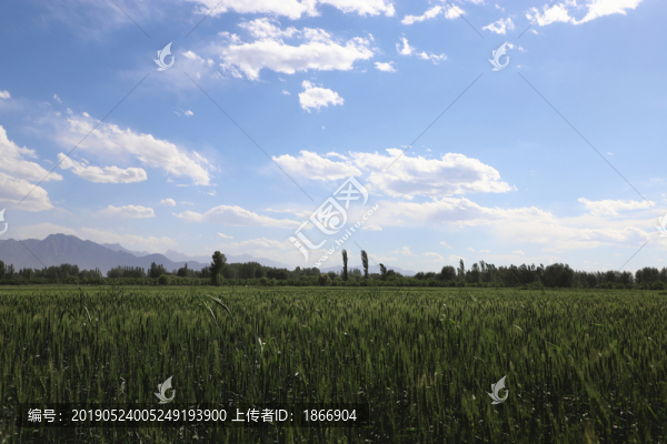 美麗的鄉(xiāng)村田野