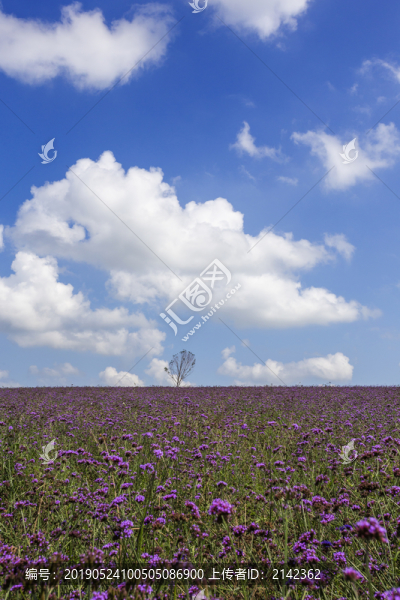 晴空