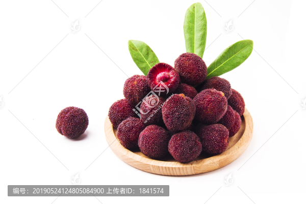楊梅