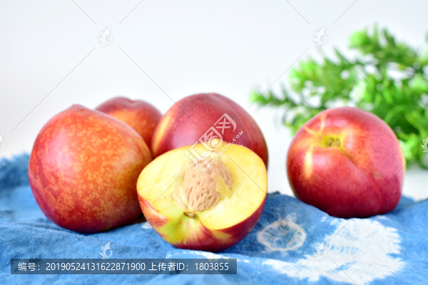 油桃