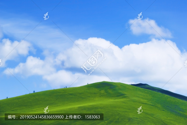草原風(fēng)光