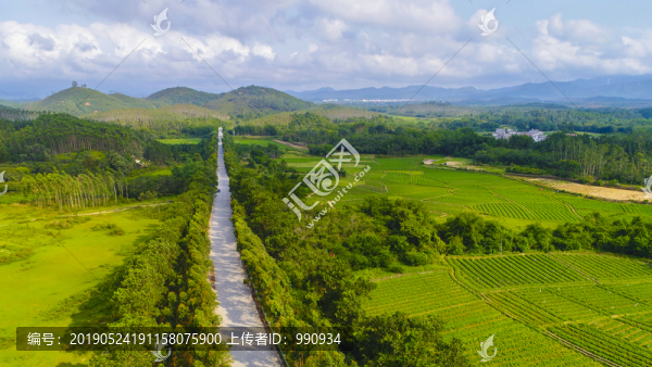 路