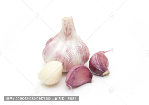 新鮮大蒜