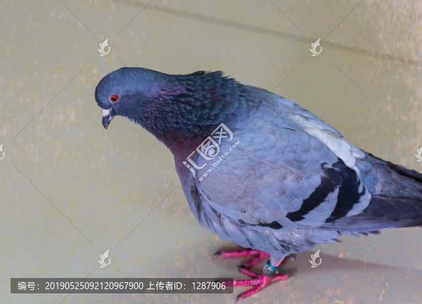 認(rèn)錯(cuò)