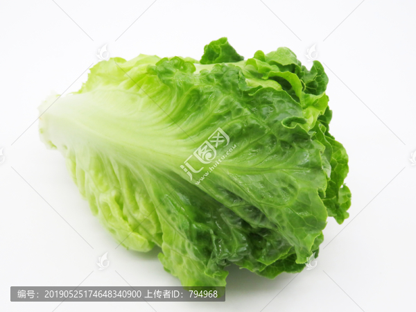 生菜