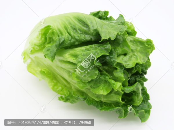 生菜