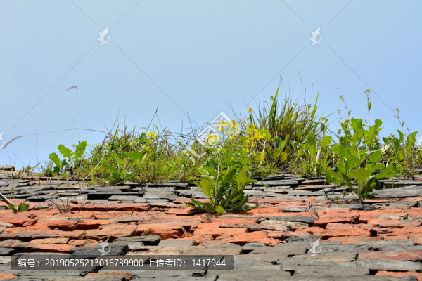 古代磚瓦廠遺址