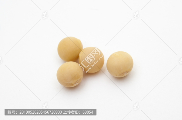 大豆素材