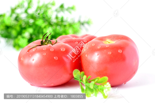 西紅柿