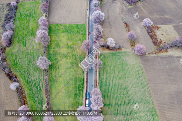 航拍西藏波密桃花谷80