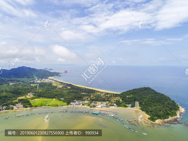 大樹島