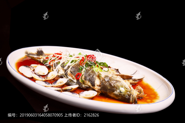 魚