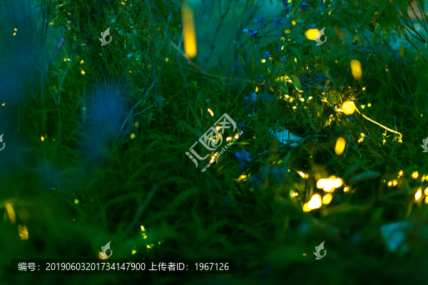 螢火蟲