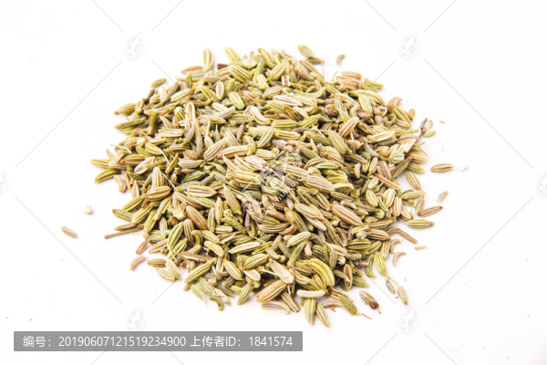 茴香
