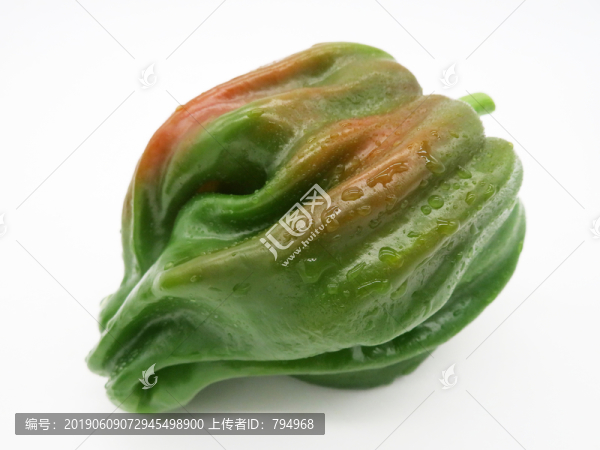 皺皮辣椒