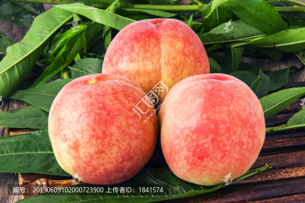 胭脂紅桃
