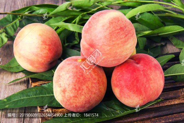 脆桃