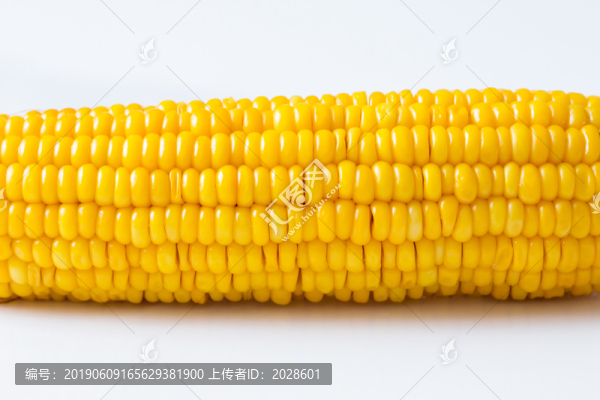 玉米特寫