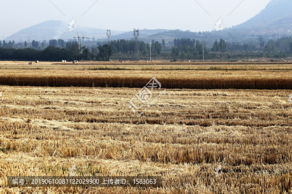 山村麥地