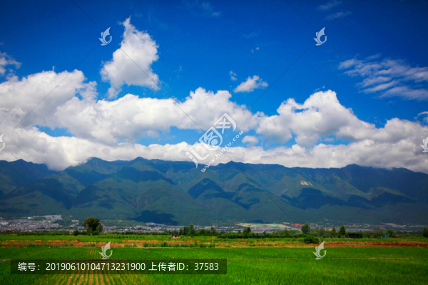 美麗鄉(xiāng)村