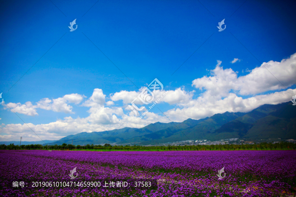 美麗鄉(xiāng)村