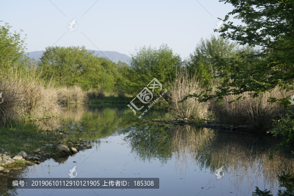 溪流